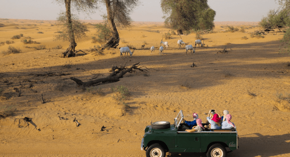 Best desert safari in Dubai